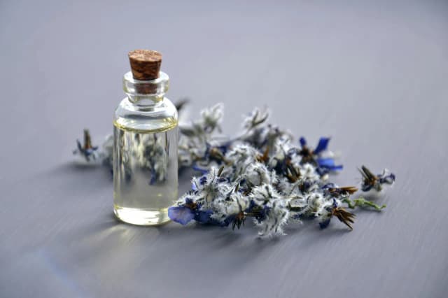 Dlaczego perfumy marki V Canto są jak zapachowe dzieła sztuki? Dlaczego perfumy marki V Canto są jak zapachowe dzieła sztuki?